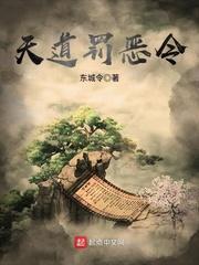 天道罚恶令有声