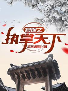 问鼎官路第924章