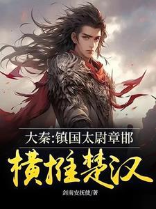 镇国太尉章邯推楚汉!大秦镇国横