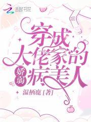 穿成大佬家的娇弱病美人txt