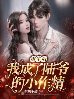 重生后我变成了恶毒男配免费阅读陆