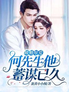 暖婚厚爱霍先生晚安全书免费