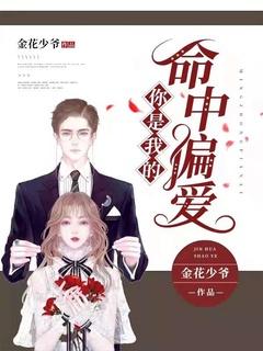 你是我的命中偏爱全文阅读