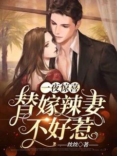 一夜惊喜 重生甜妻不好惹
