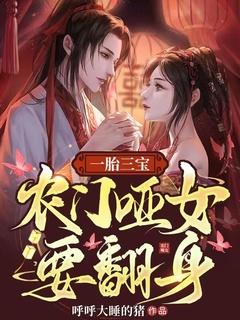 一胎二宝农门俏媳不好惹