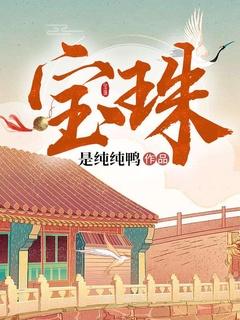 宝珠红楼梦