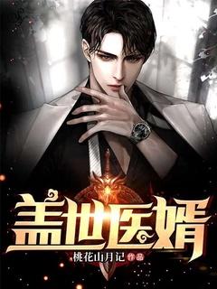 盖世医婿 洛少