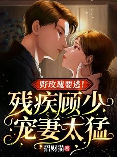 野玫瑰免费阅读无弹窗