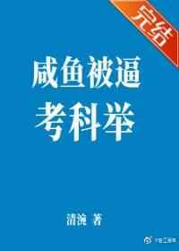 过继子的科举之路