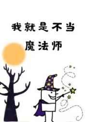 我就是不当魔法师漫画