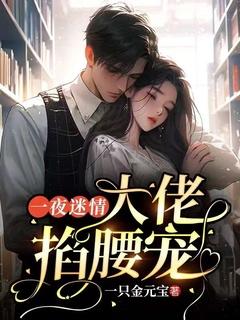 一夜缠绵大佬宠妻火辣辣全文免费阅读