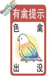 各种女孩子贴贴 清风2024