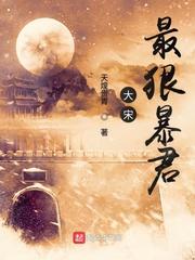 大宋最狠暴君百度