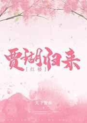 红楼贾瑚归来女主是谁