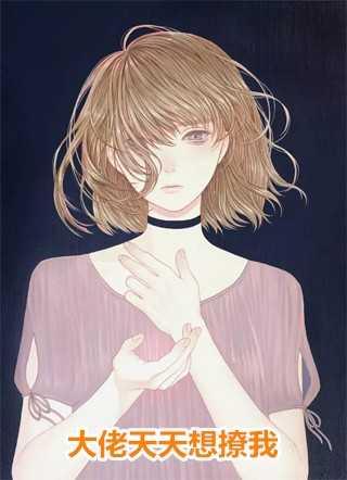 完整文集神魂丹帝的