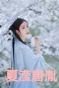 夏滢唐胤主角叫什么名