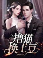 土豆的猫咪拆家了视频