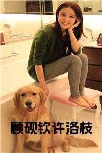 男主叫顾砚的现代