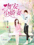 吻安小蜜妻