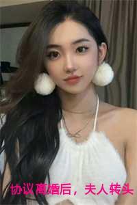 协议离婚后夫人转头改嫁了在线阅读