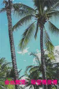 孝感市公安局治安支队支队长魏朝晖