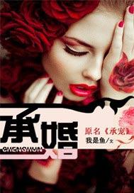 承婚记电视剧免费观看全集高清