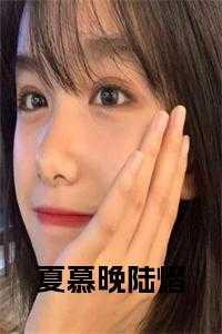 陆亦渊夏暮晚全文免费阅读