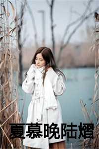 夏慕晚陆熠叫什么名字