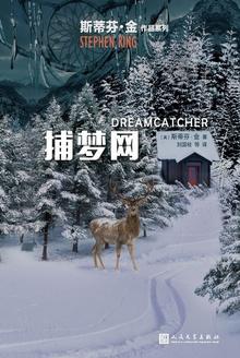 捕梦网可以挂车上吗