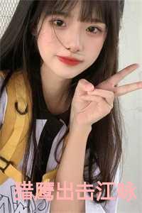 电视剧 猎鹰出击