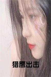 猎鹰出击美国电影