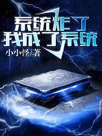 系统炸了我成了系统txt