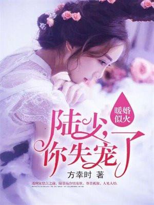 暖婚蜜爱陆少宠妻有道