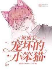 被霸总宠坏的小笨猫宁安安