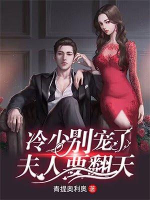 冷少夫人可盐可甜