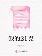 我的21克是什么意思