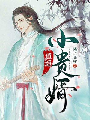 逍遥小贵婿李辰安的真实身份