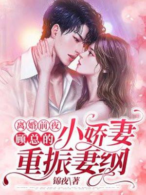 前妻离婚无效顾离川