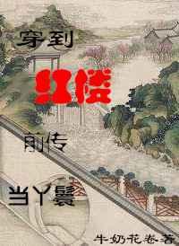 穿进红楼从丫鬟开始by