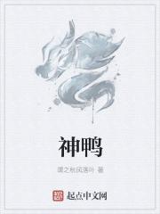 神鸭特攻只能双人打吗