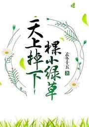 狗狗配完种还有月经吗