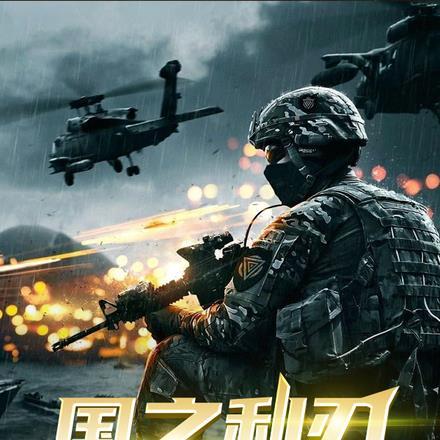 特种兵之国之利刃王天云免费