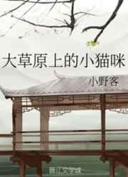 草原上的一只猫