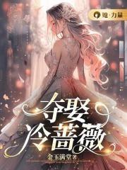 冷蔷薇歌曲歌词