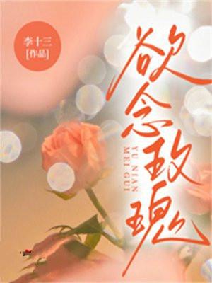 欲放玫瑰的功效