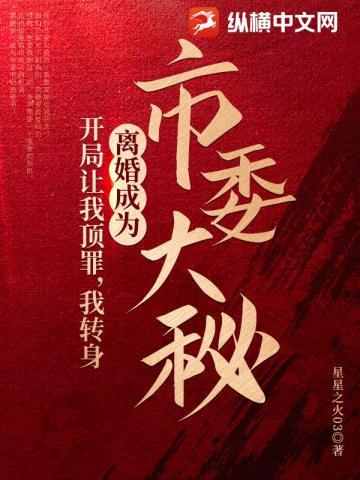 我转身离婚成为市委大秘著