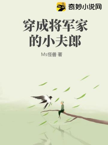 穿越成了将军夫人的