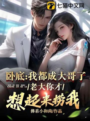 卧底我都成大哥了