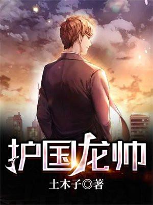 护国龙帅免费阅读全文