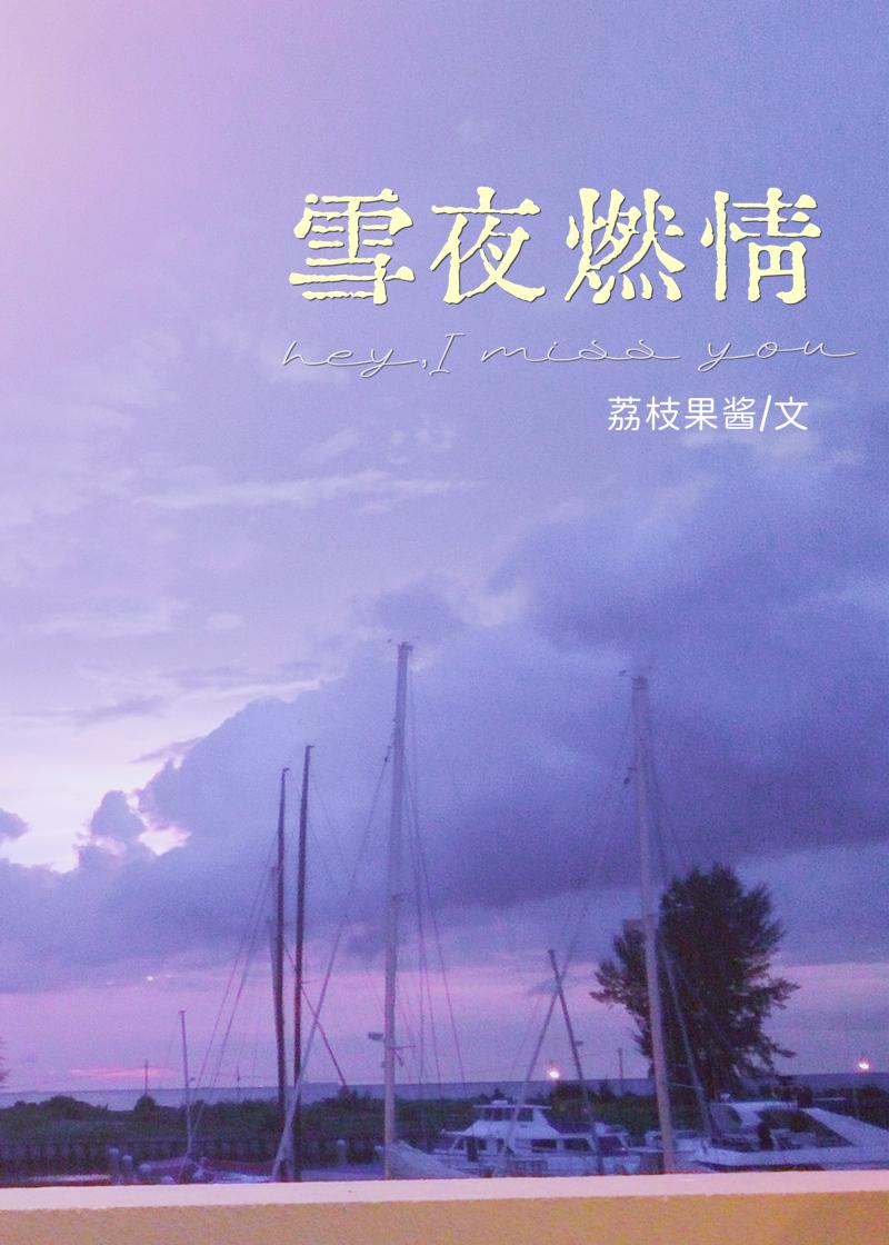 雪夜燃情荔枝果酱笔趣阁免费阅读百度